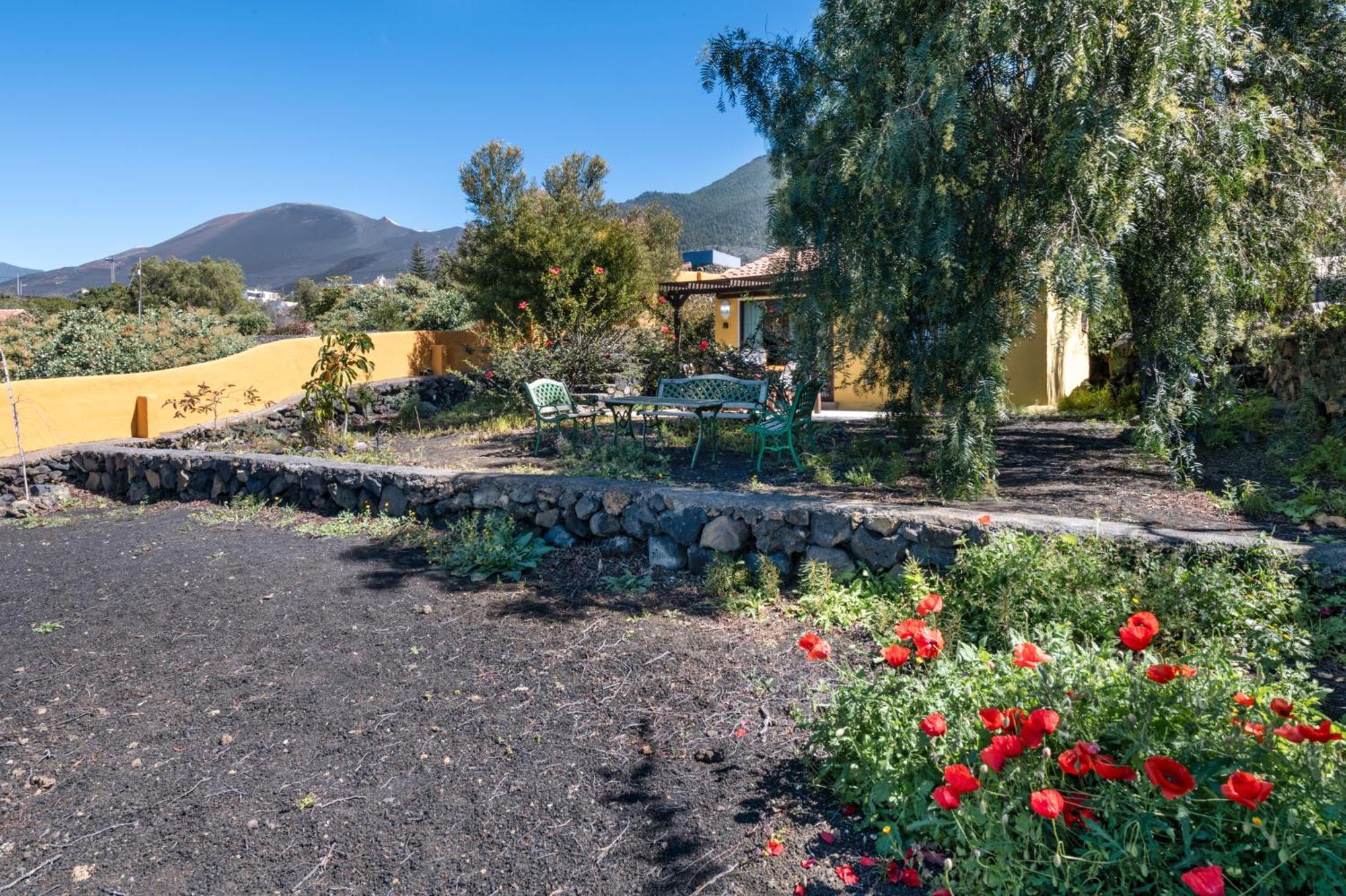 El Jardin De Las Pleyades Los Llanos De Aridane Exterior foto
